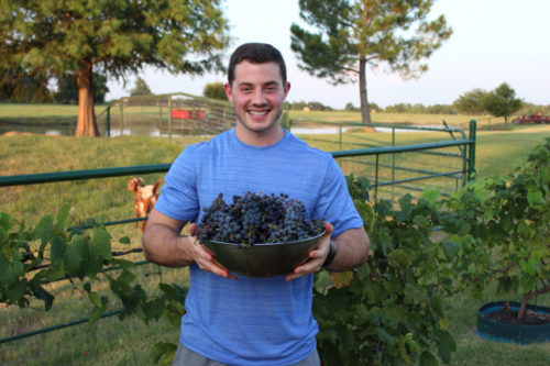 Blake-_-grapes-e1568245157877